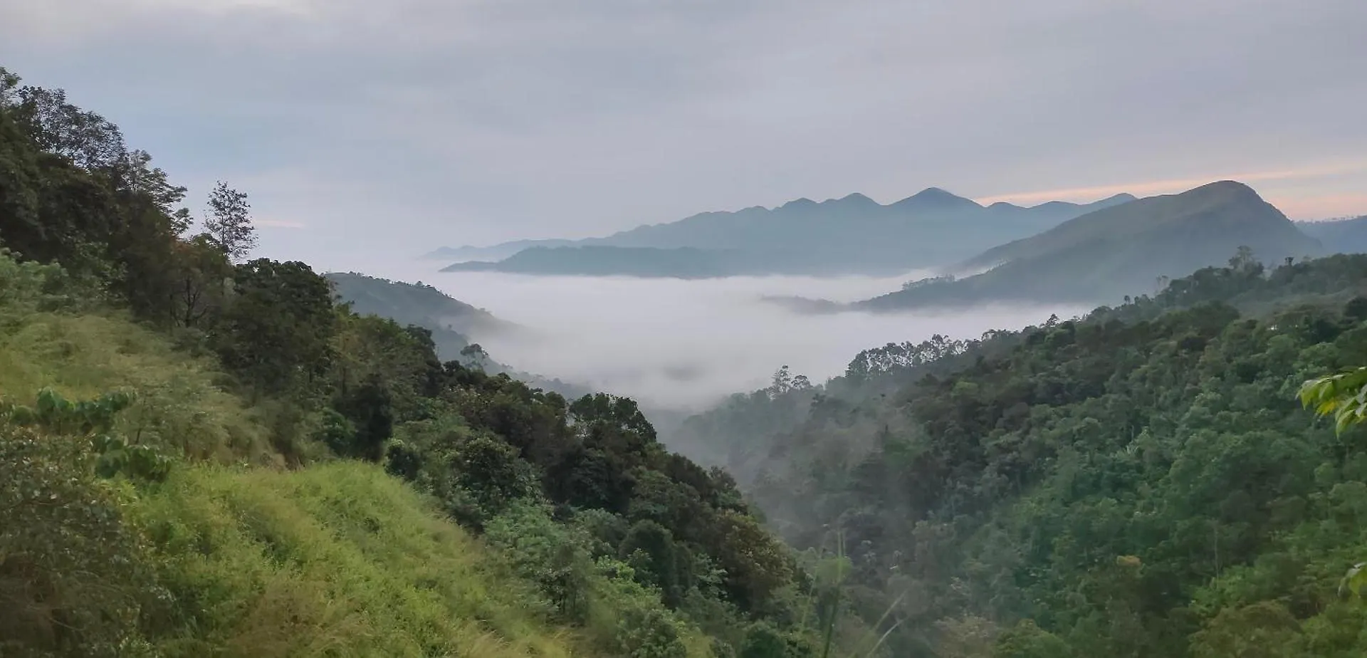 Robin'S Paradise Vagamon