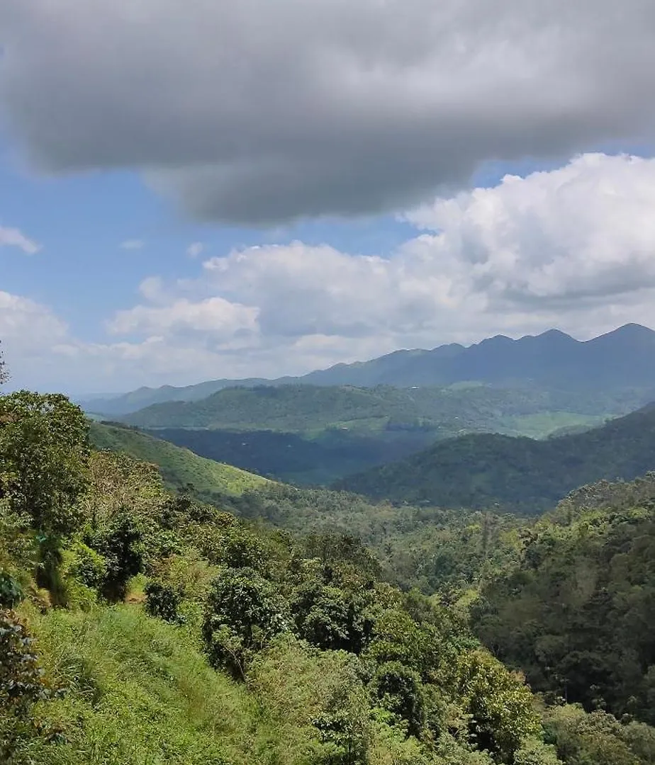 Homestay Robin'S Paradise Vagamon