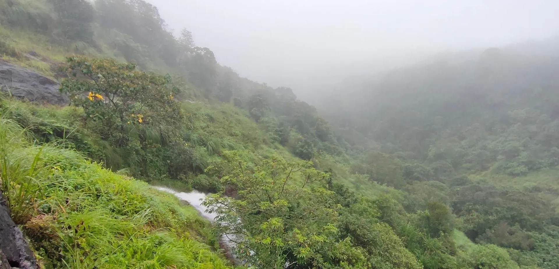 Robin'S Paradise Vagamon Homestay