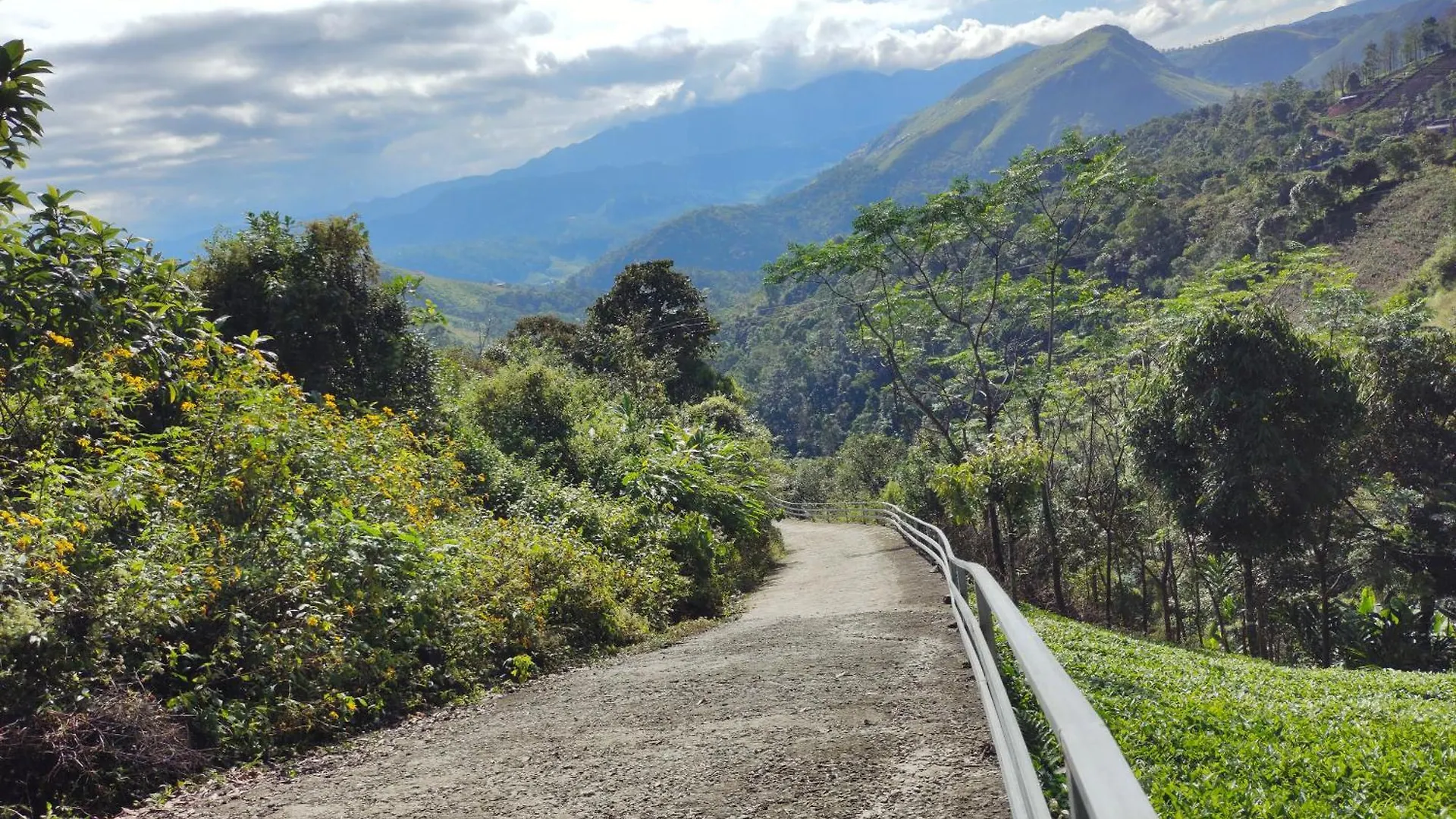 Homestay Robin'S Paradise Vagamon India