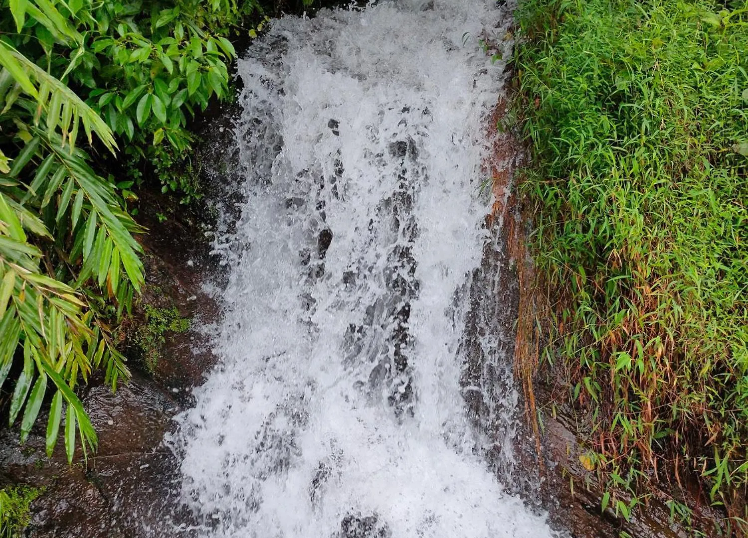 Robin'S Paradise Vagamon Homestay