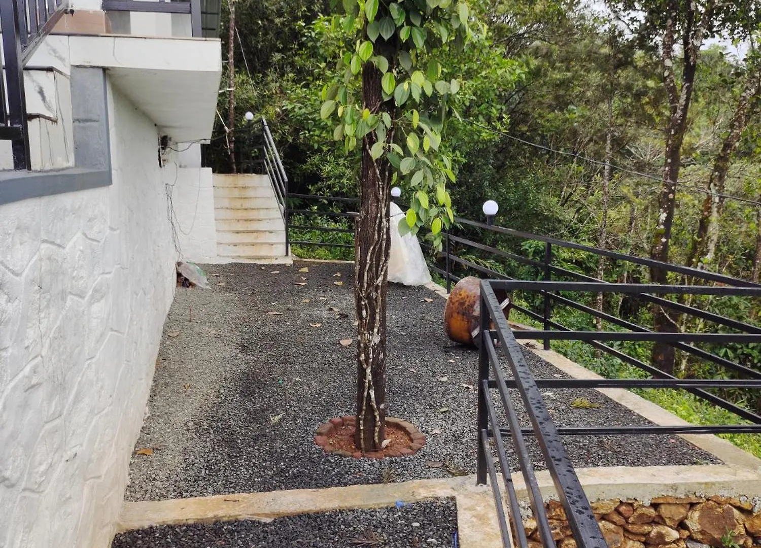 Homestay Robin'S Paradise Vagamon India
