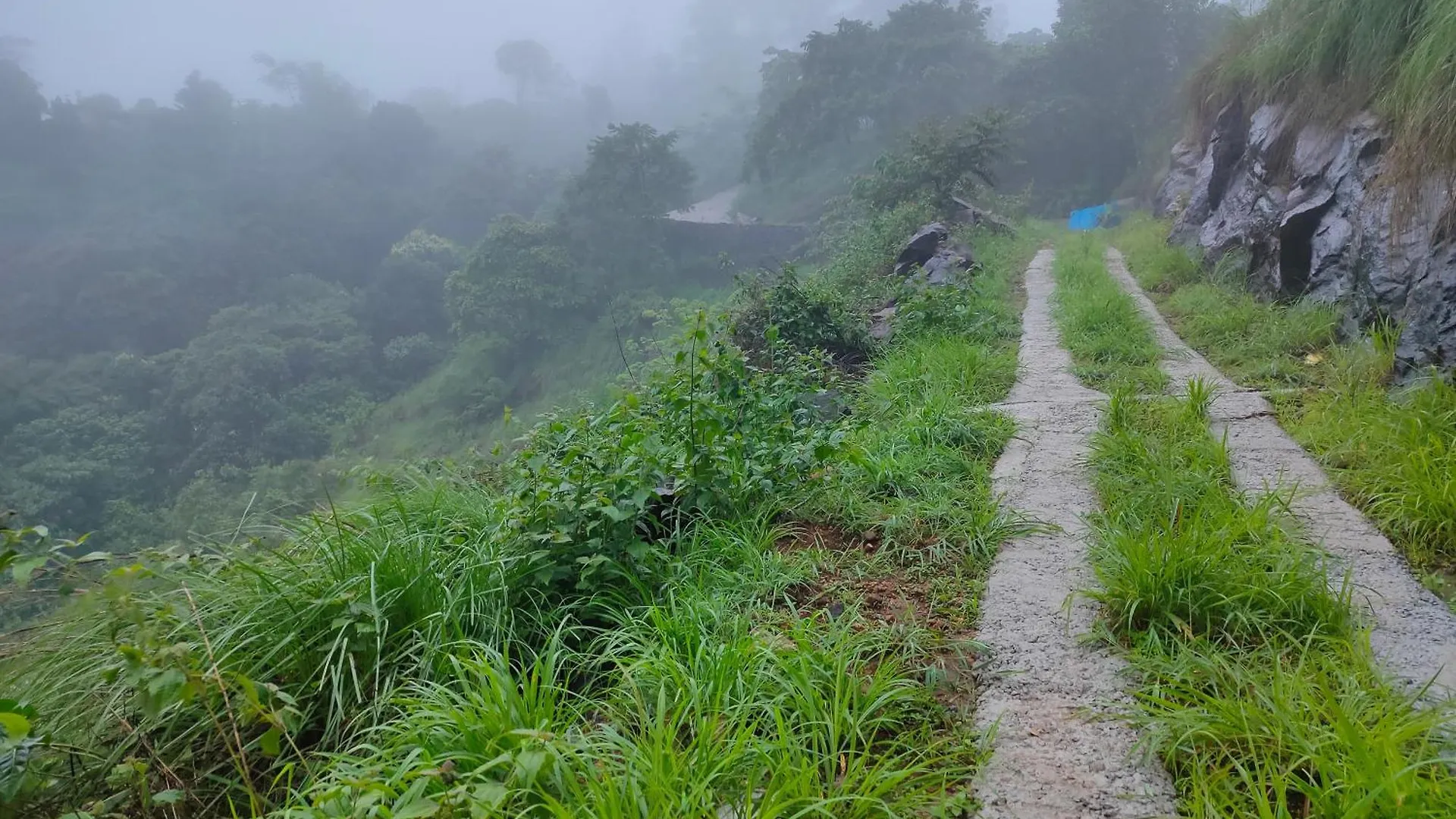 Robin'S Paradise Vagamon India