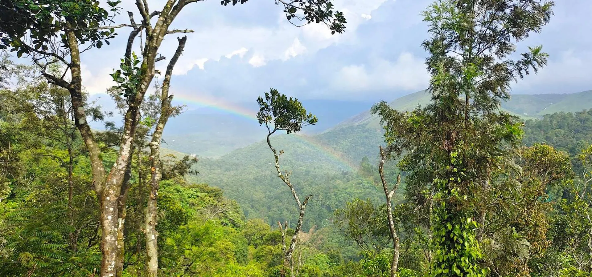 Robin'S Paradise Vagamon 0*,