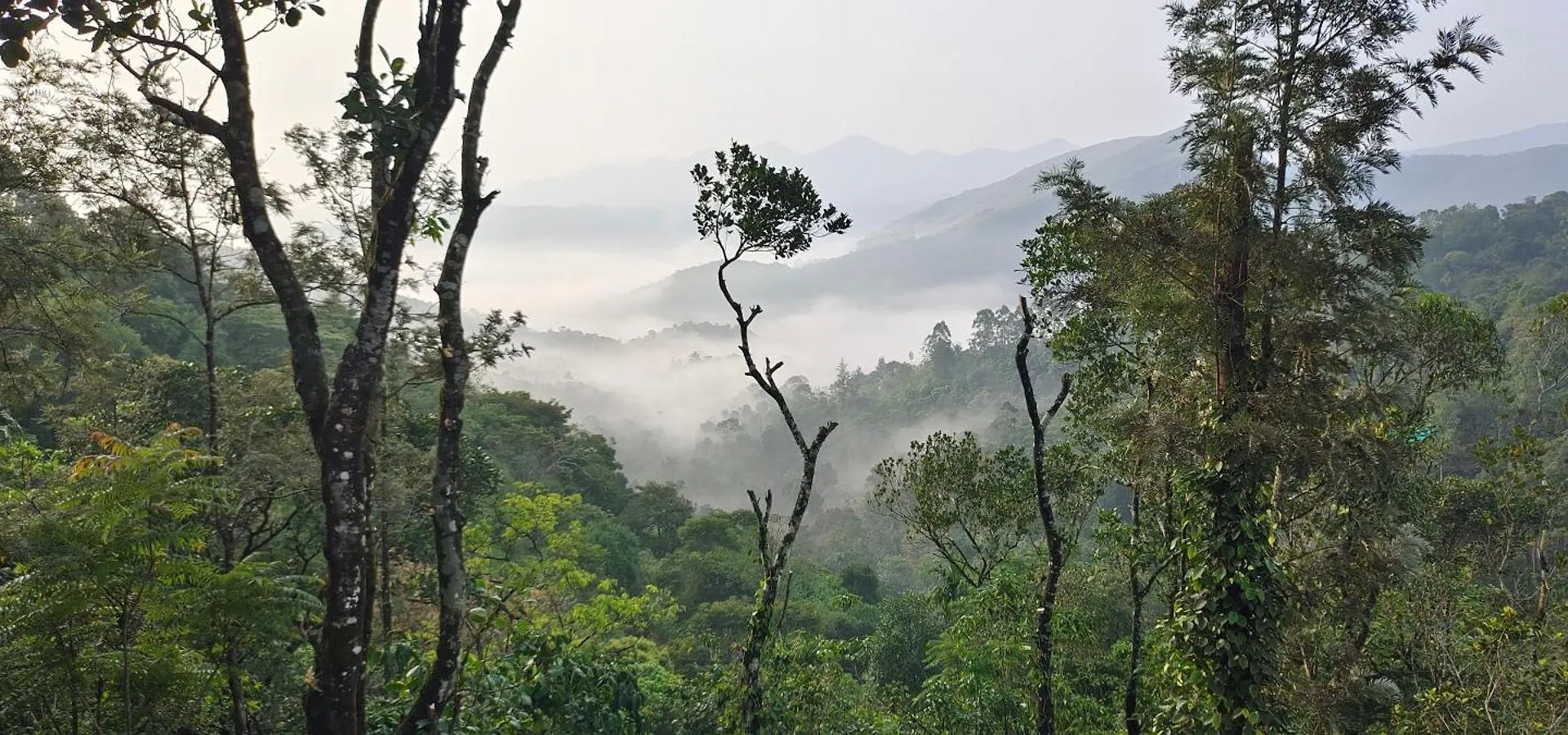 Robin'S Paradise Vagamon Ubytování v soukromí